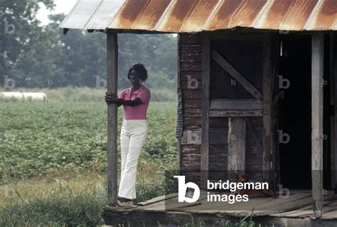 ¡Zandalee! Una historia de amor, pérdida y la búsqueda de la identidad en el Mississippi rural